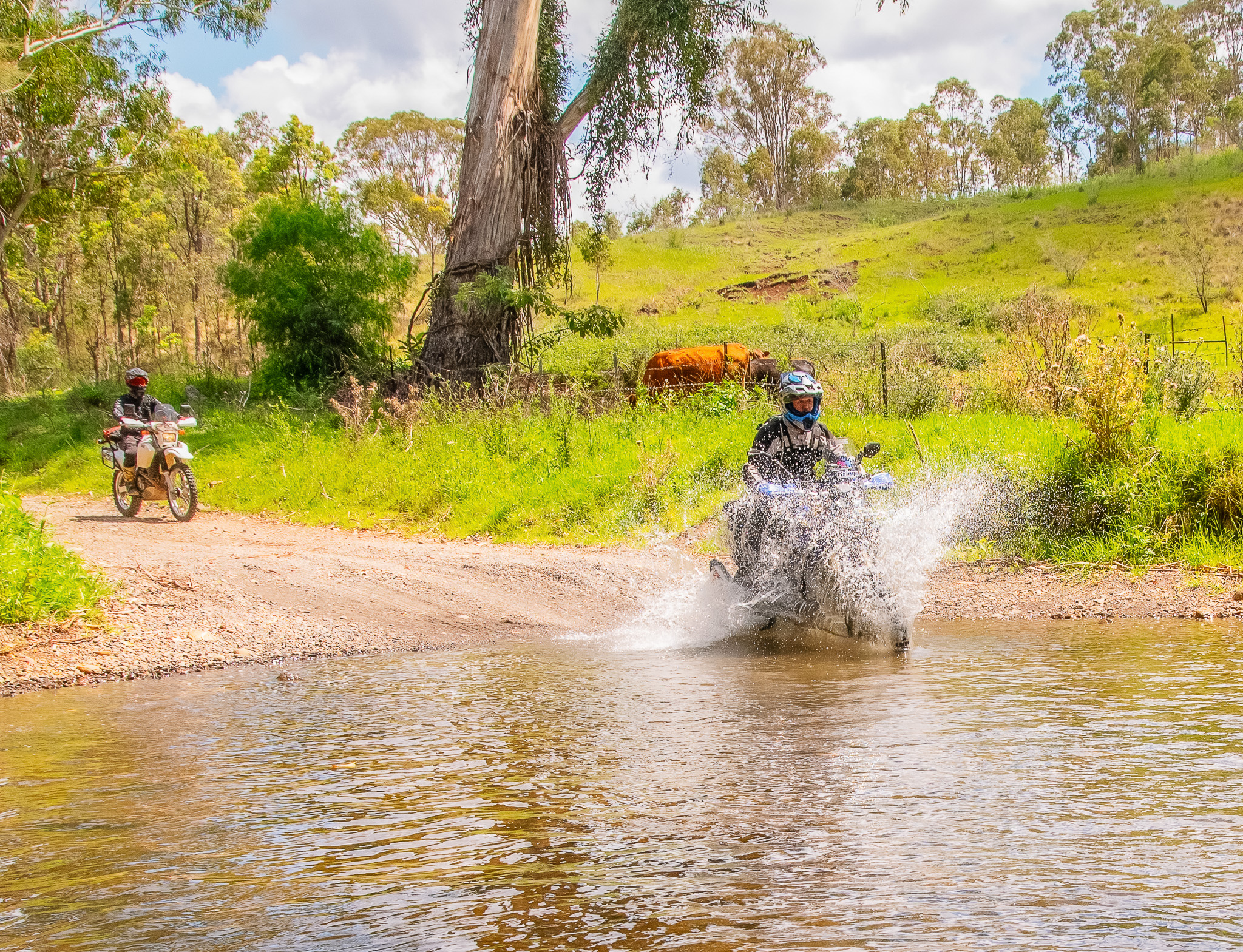 Coach & Ride // Condamine Gorge - SEQLD