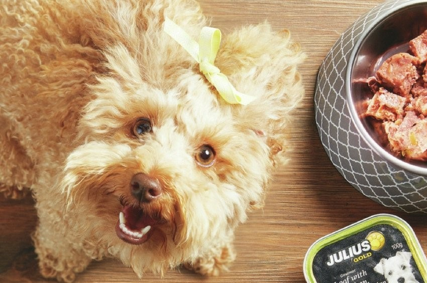 Supplier Pet Food Specification Training