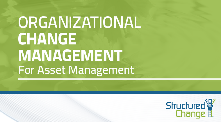 Designing and Delivering Asset Management Programs (Advanced)