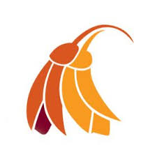 Hospice%20NZ%20Kowhai.jpg