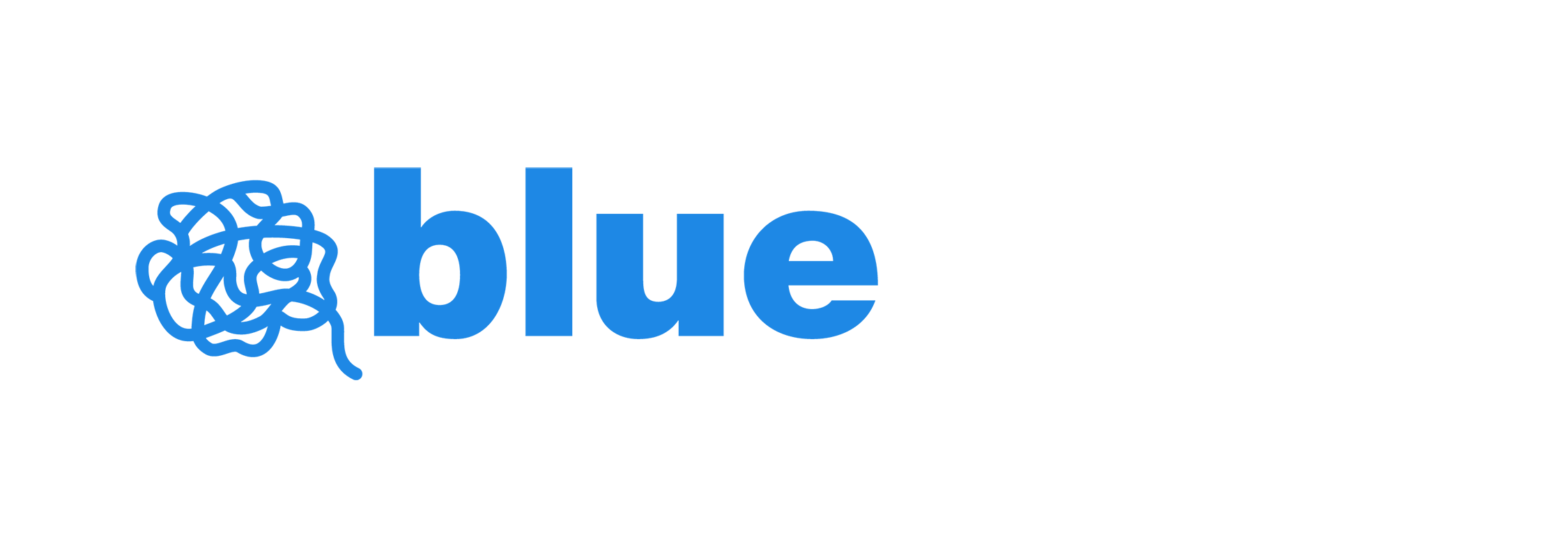 Blue Knot Foundation Logo