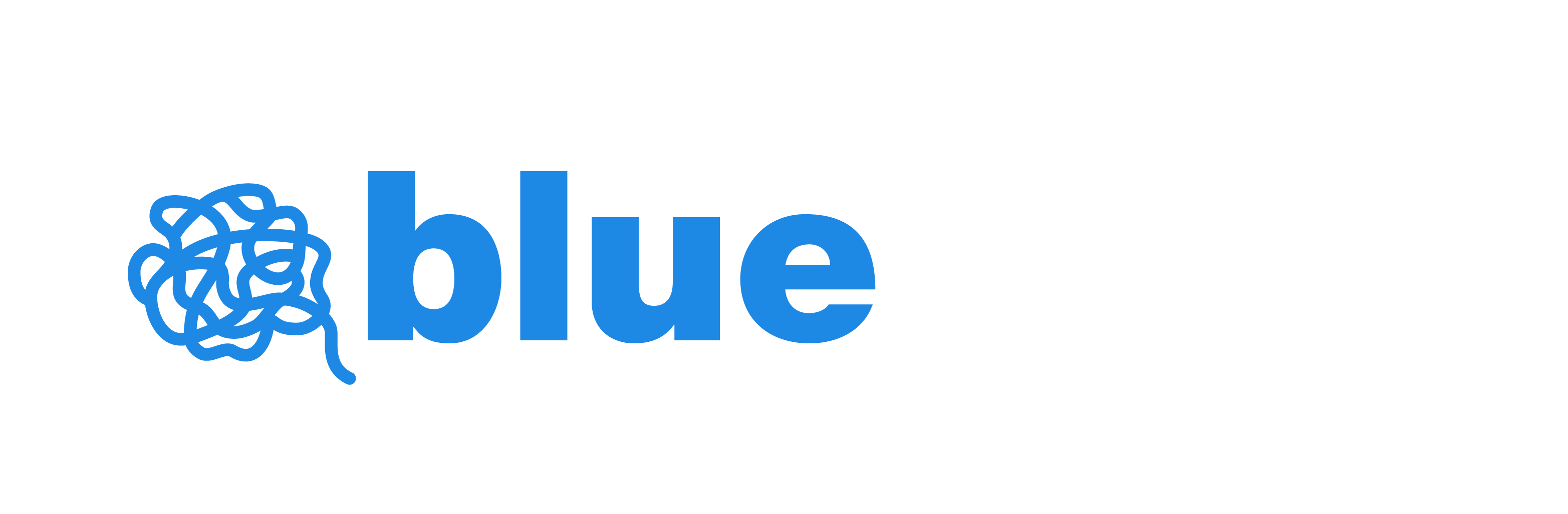 Blue Knot Foundation Logo