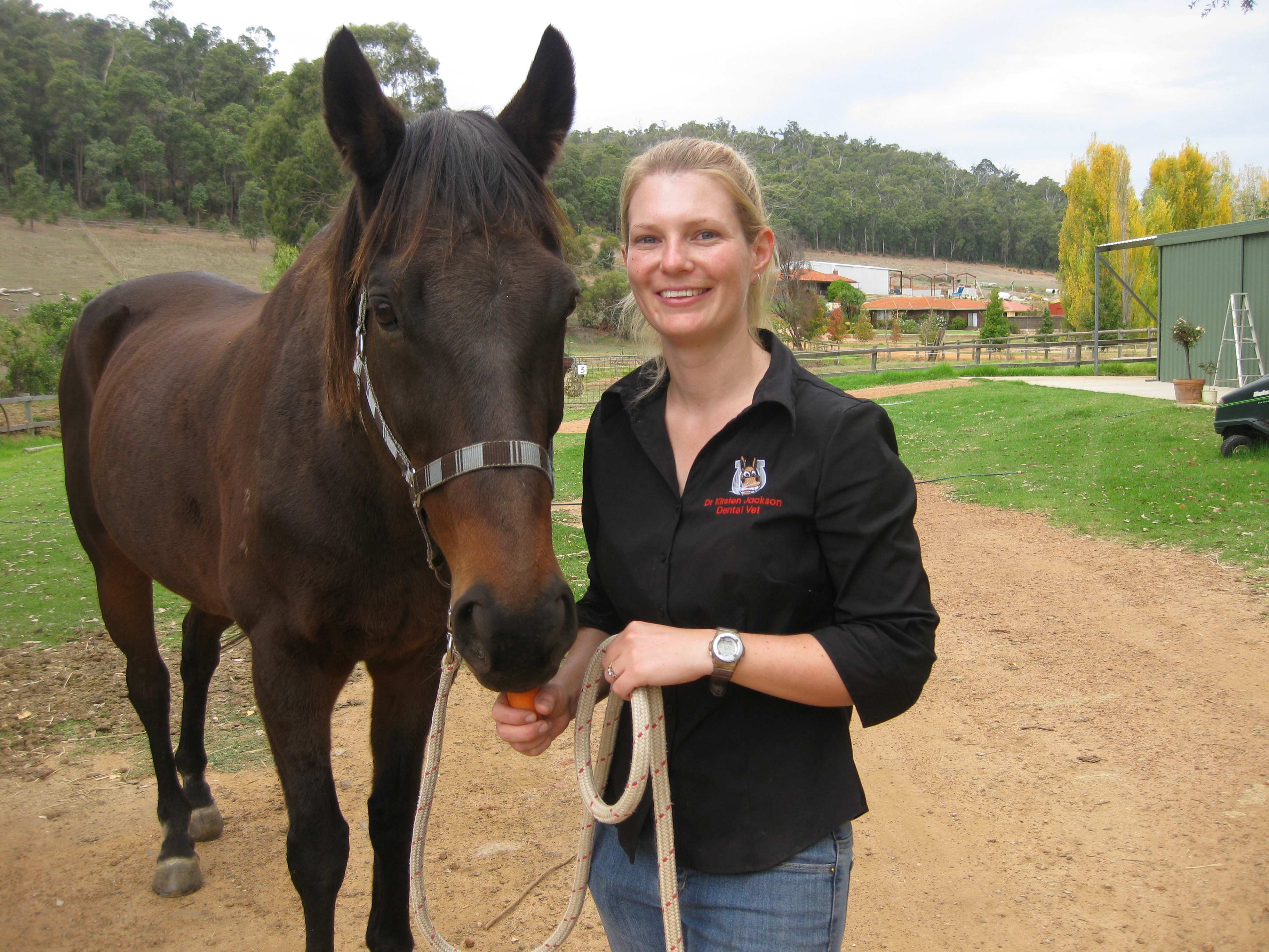 Equine Endodontics: The Challenges of RCT in an Equine Tooth (FREE EVENT)