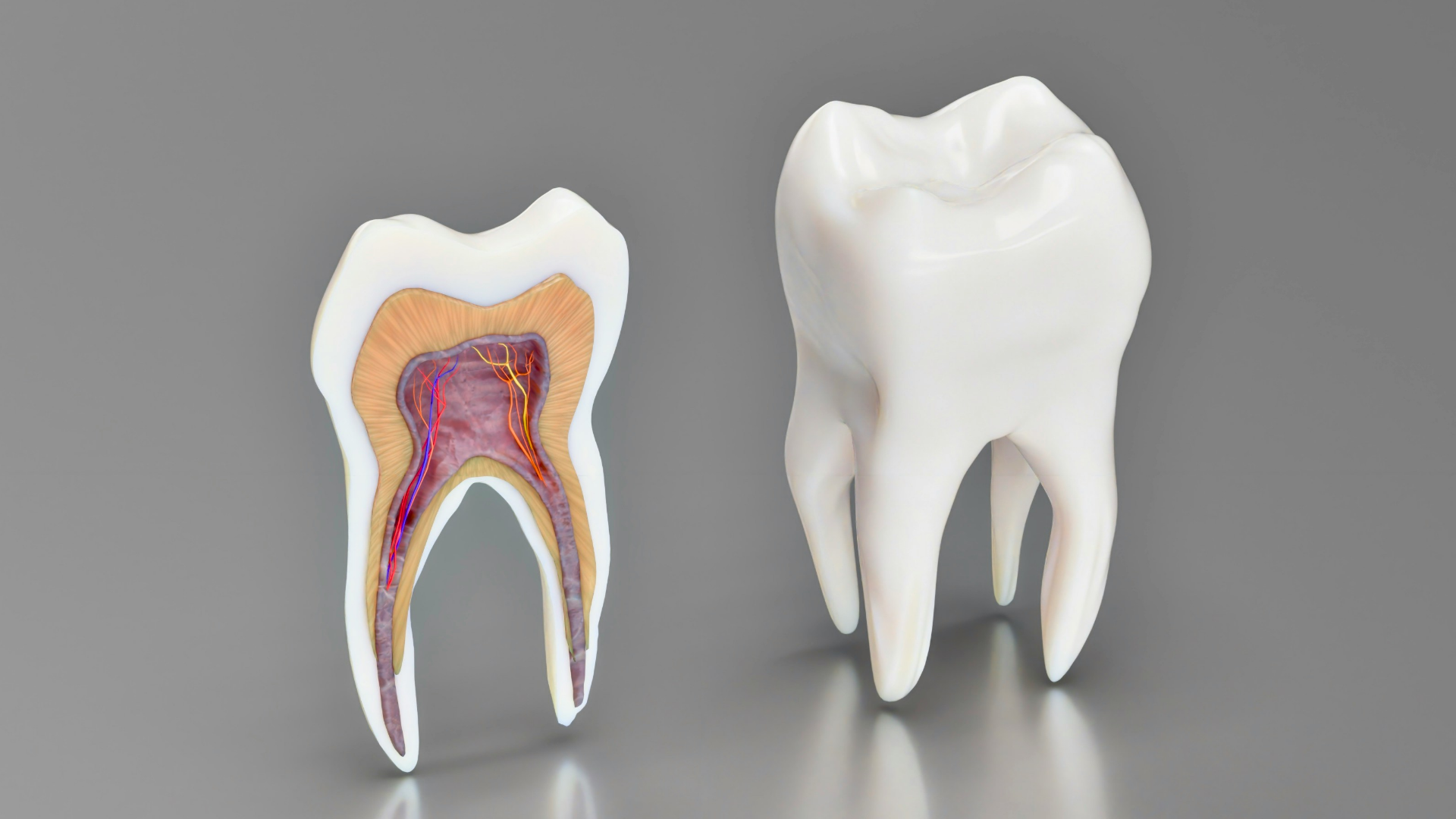 Comprehensive Endodontics