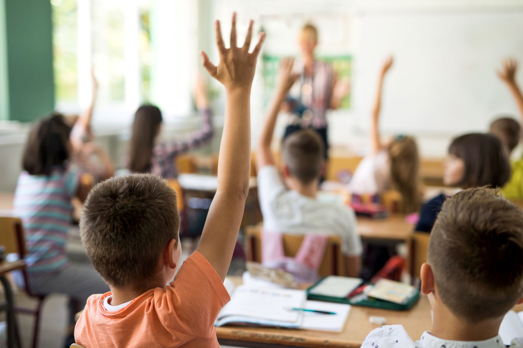 Understanding Auditory Processing Disorders