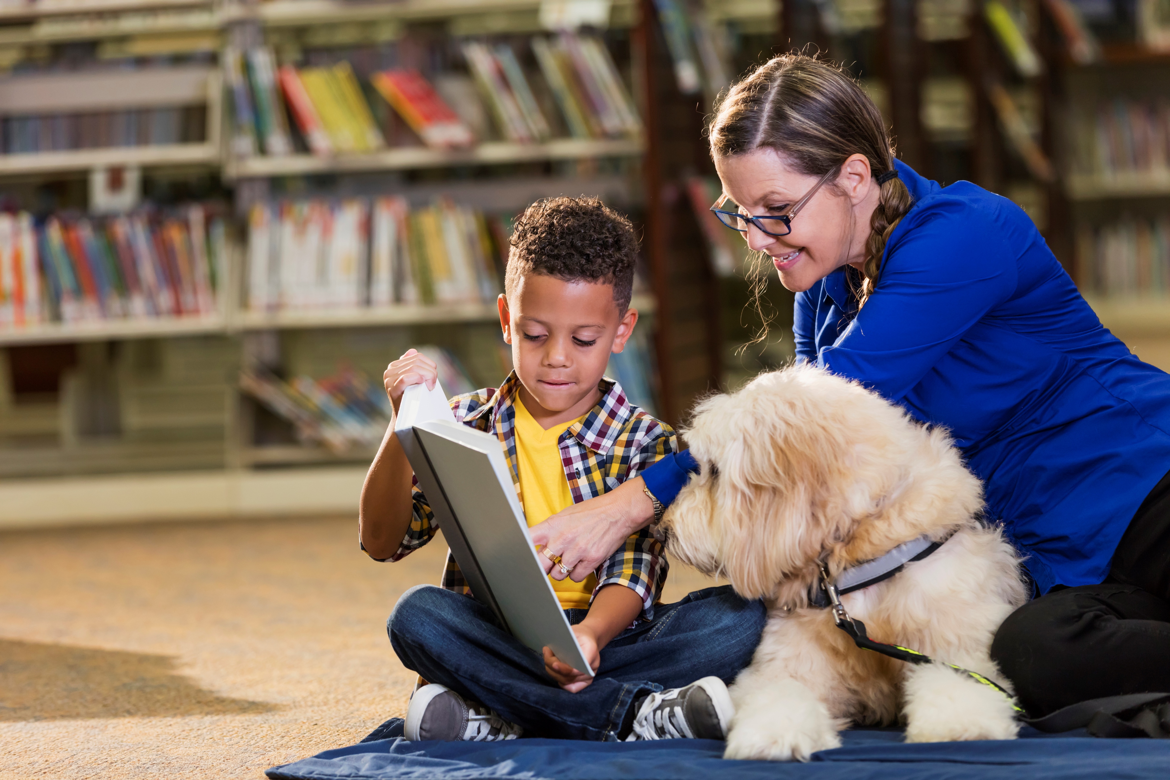 Animal-assisted wellbeing and engagement programs