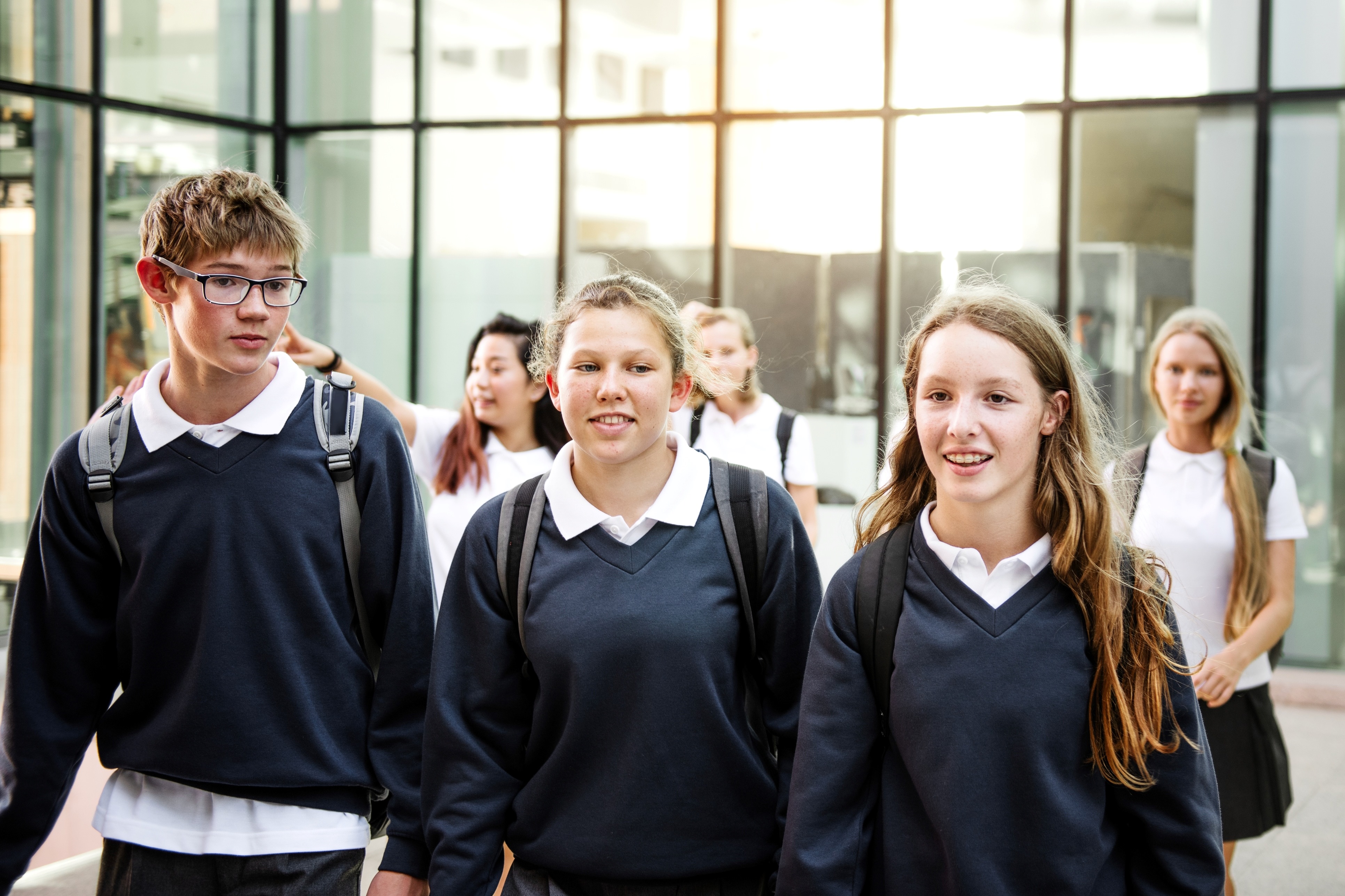 Supporting Secondary Students with Learning Difficulties