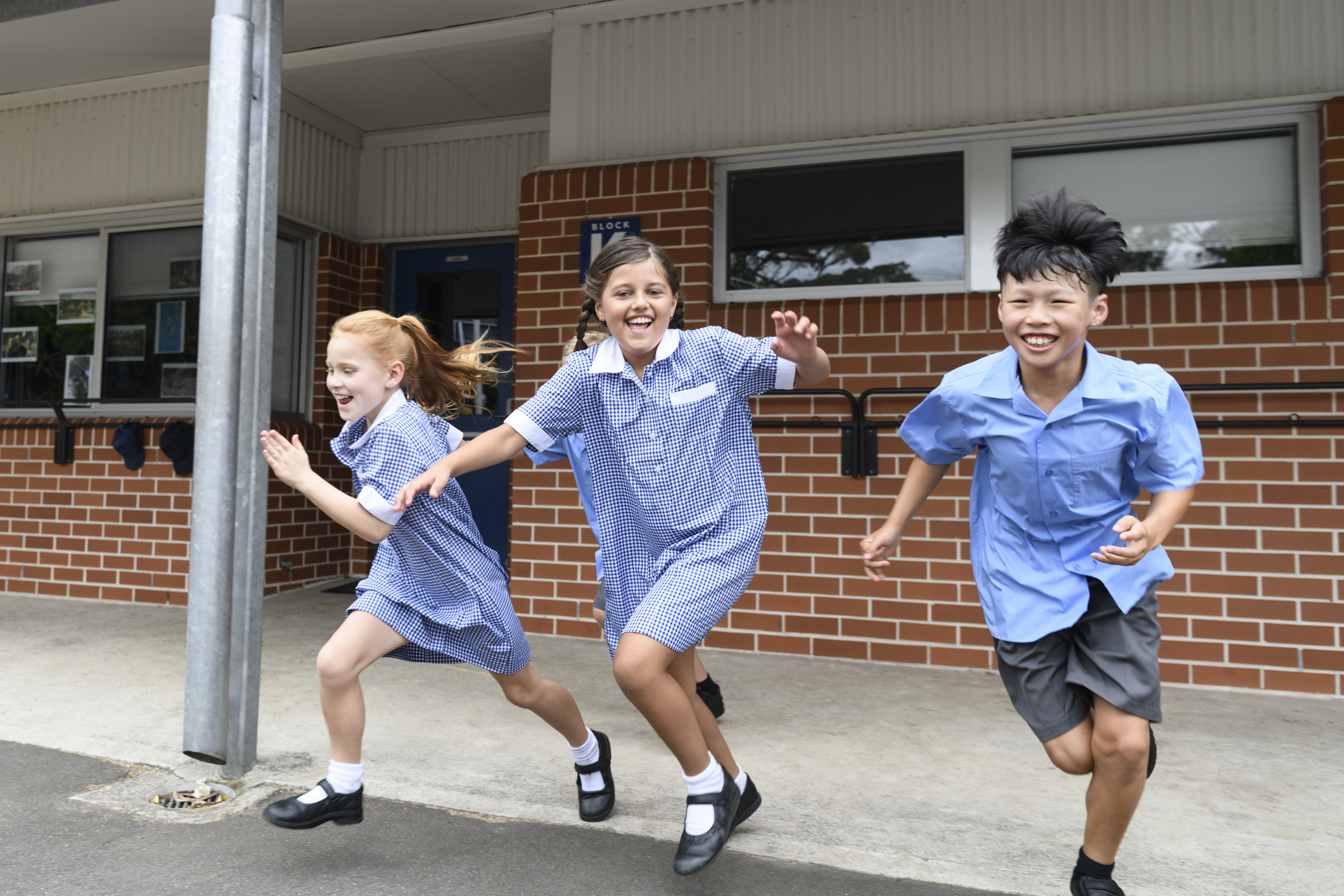 Supporting Student Behaviour
