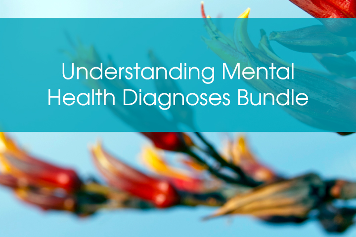 Understanding Mental Health Diagnoses Bundle