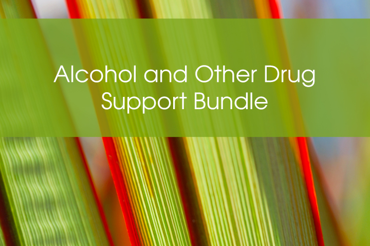 Alcohol and Other Drug Support Bundle