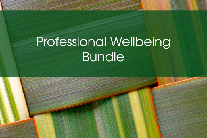 Professional Wellbeing Bundle 