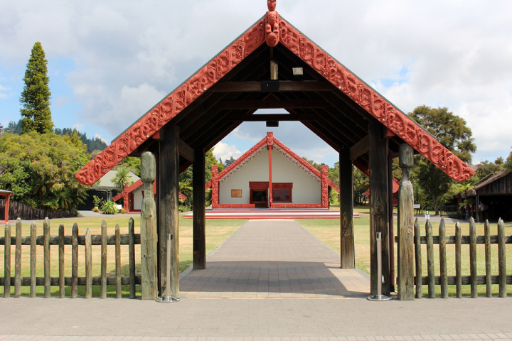 Understanding Māori Health Models