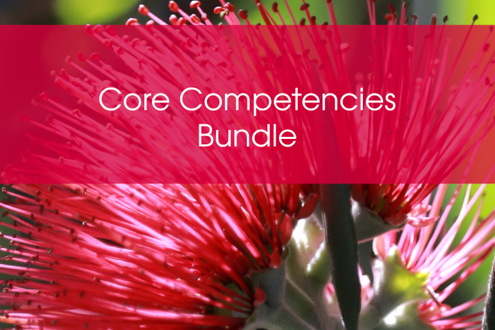 Core Competencies Bundle
