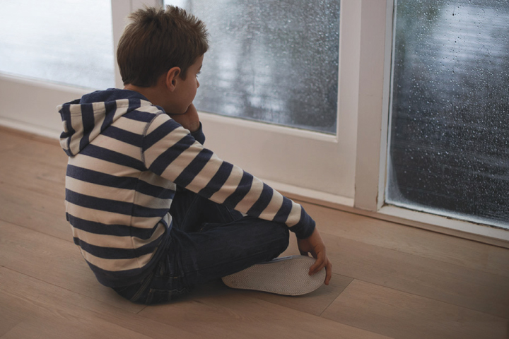 Understanding and Working with Attachment in Children and Adolescents 