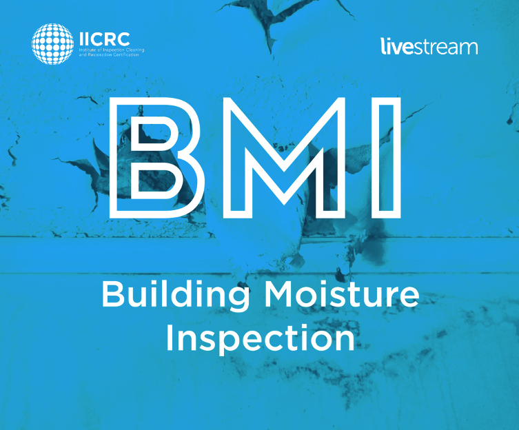 BMI_LS.png