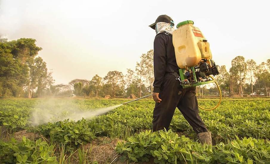 roundup_spray.jpg