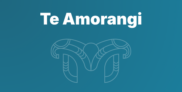Te Amorangi: Māori Cultural Capability Coaching for Executives 
