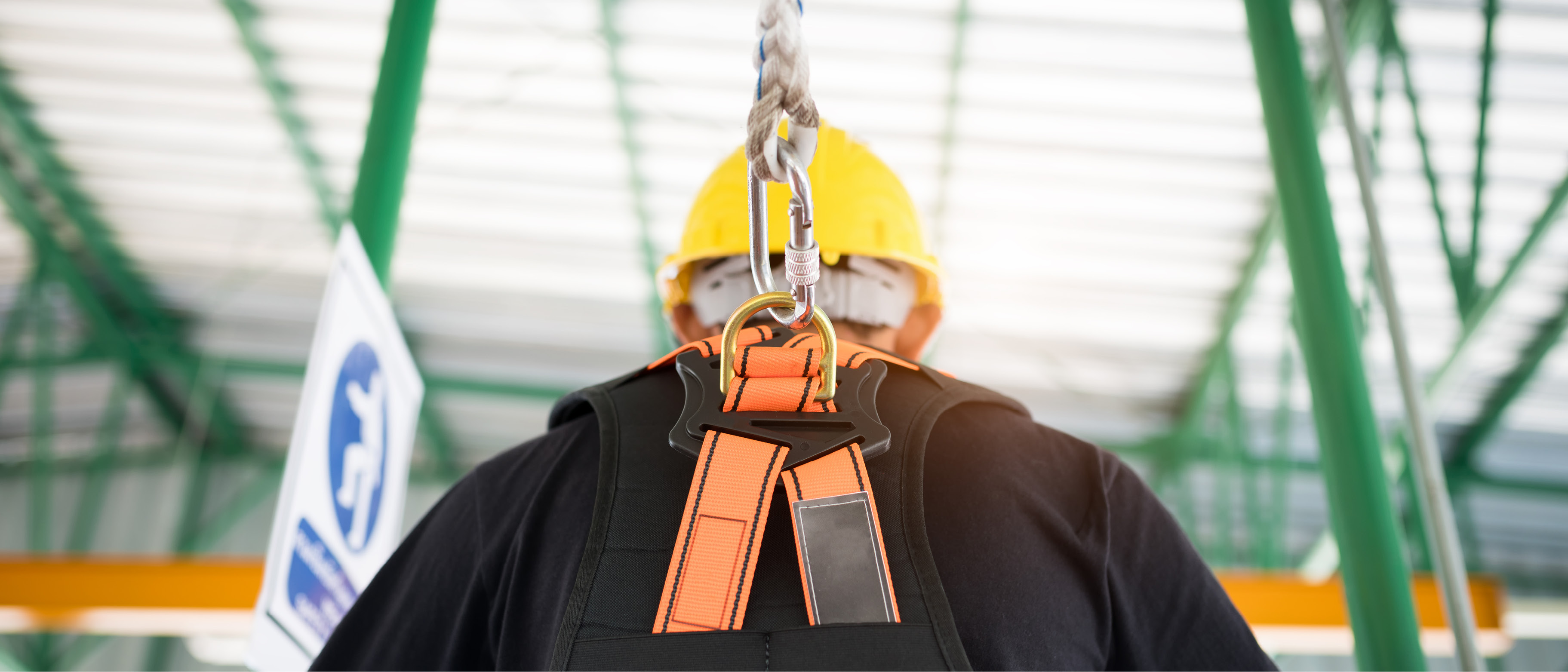 Basic Heights - Harness Training