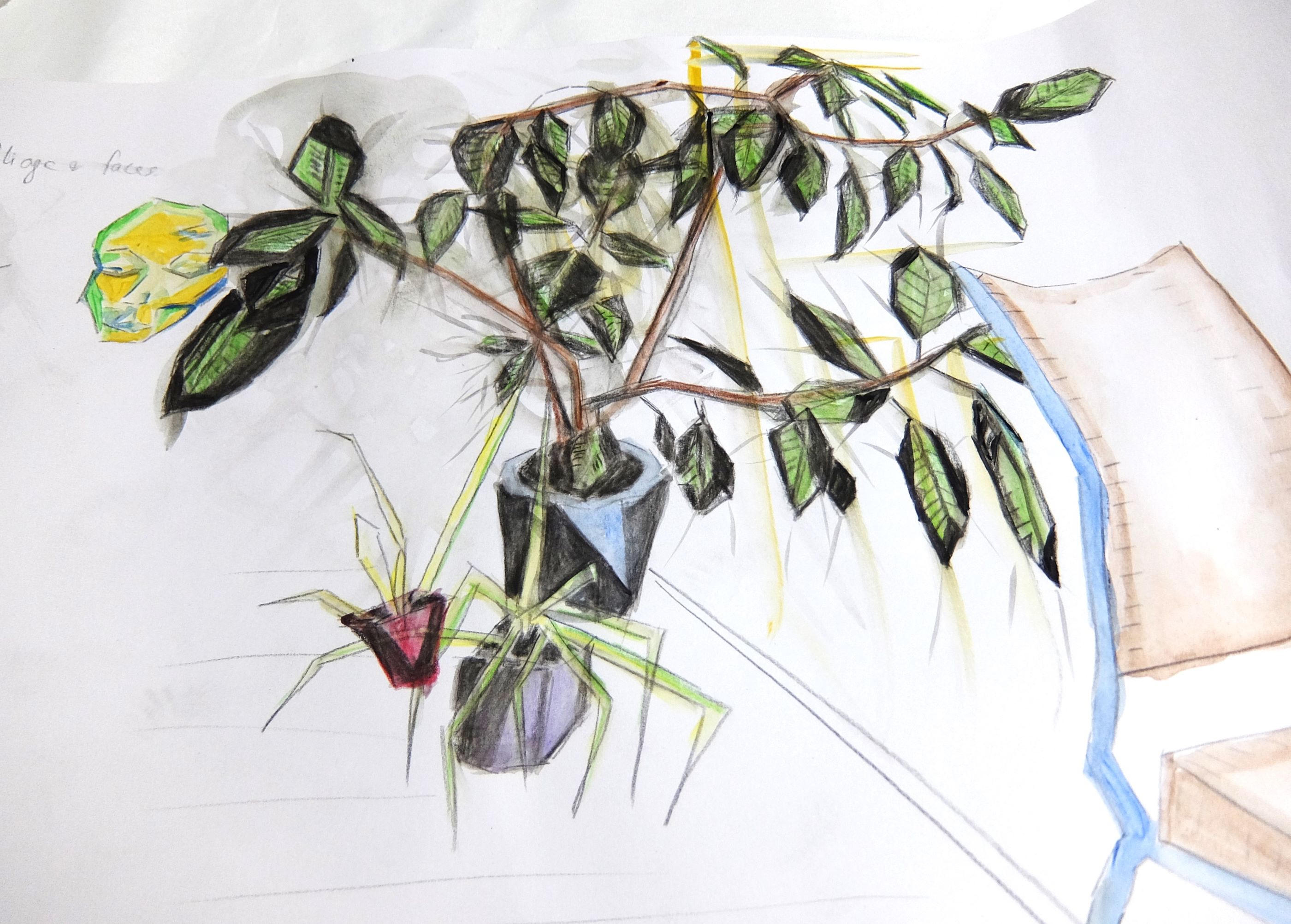 LOOKING AT, UNDERSTANDING AND MAKING ART