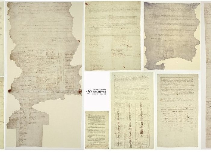 Understanding the Treaty