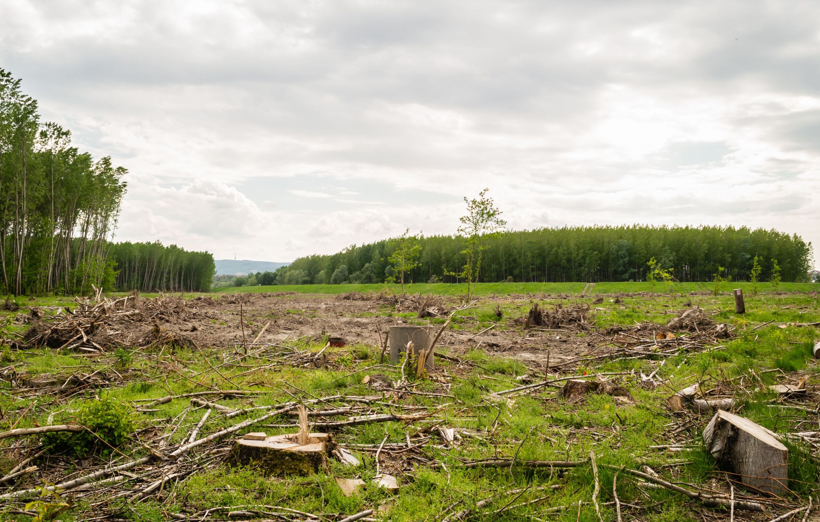 OUR CHANGING LANDSCAPES