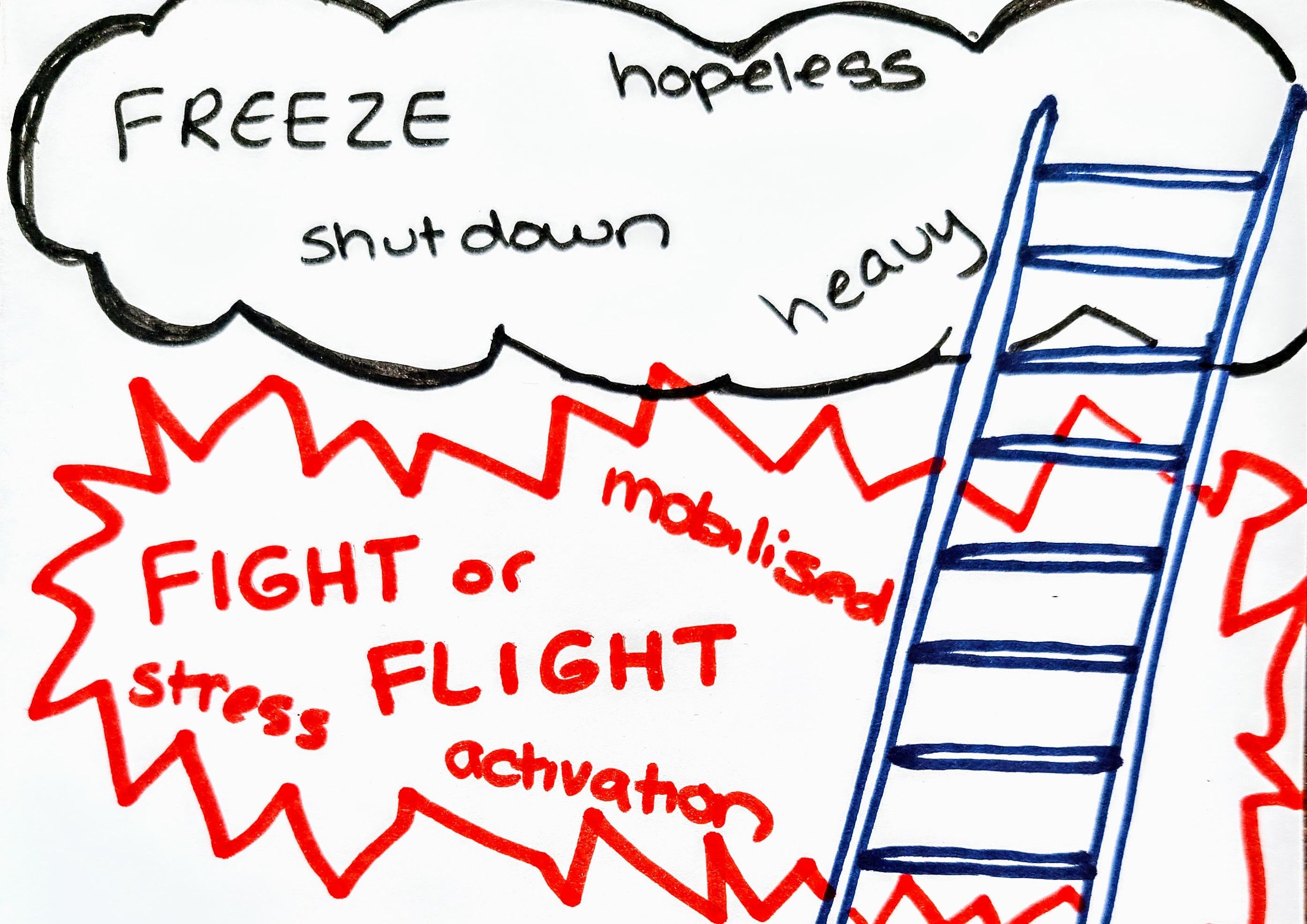 MEET YOUR NERVOUS SYSTEM