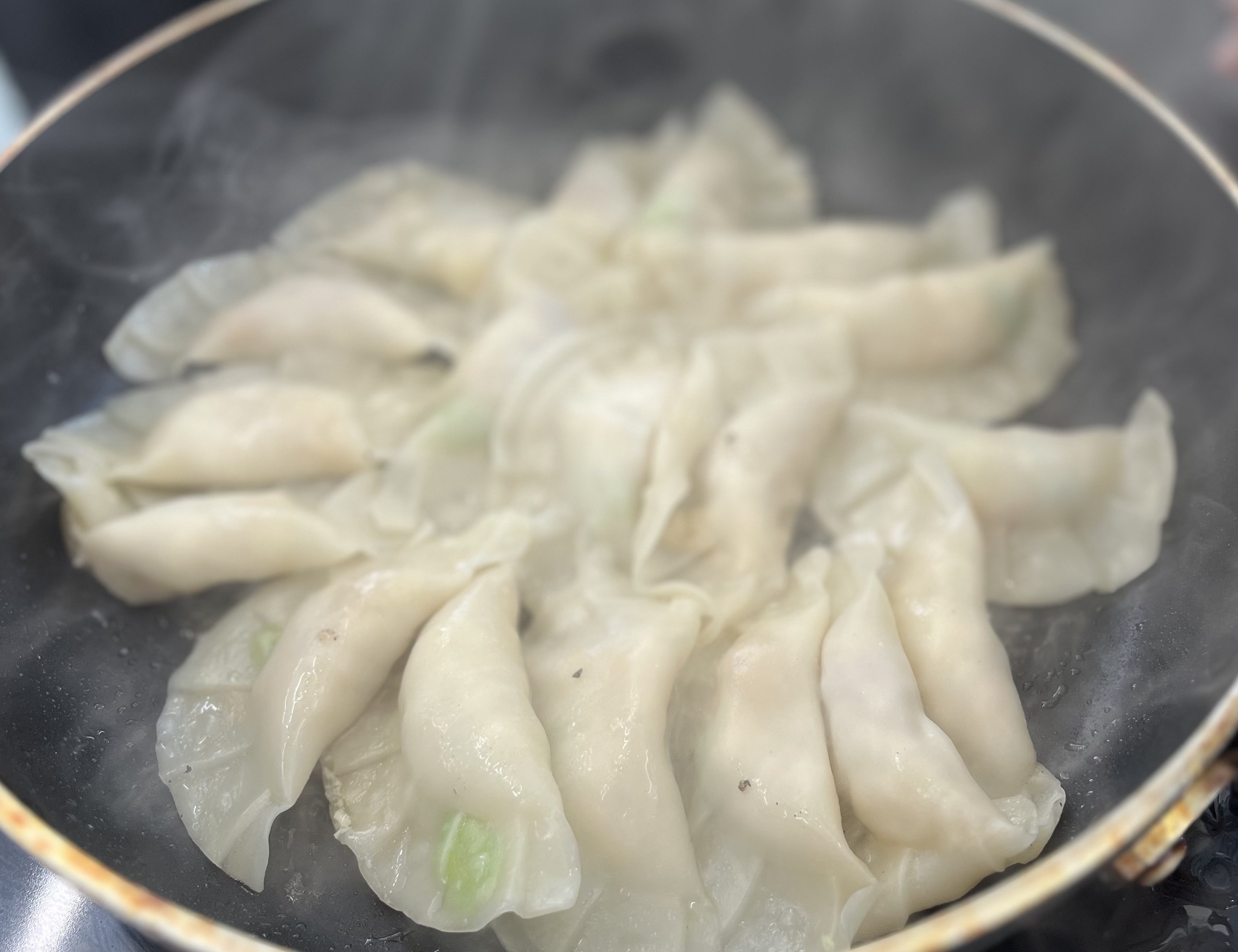 JAPANESE COOKING: PORK DUMPLINGS