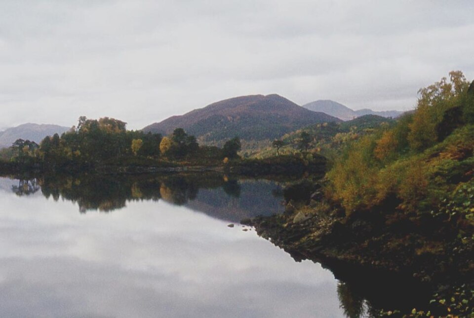 CONSERVATION PERSPECTIVES