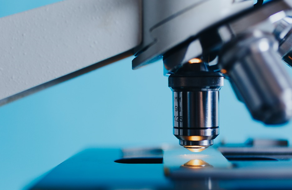 MICROORGANISMS: VAST IN NUMBER AND DIVERSITY