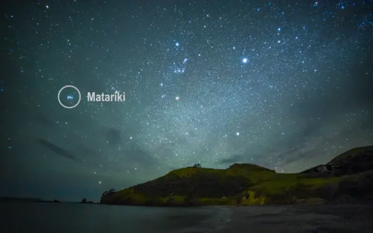 WEA MATARIKI CELEBRATION: Let’s sing some Waiata together!