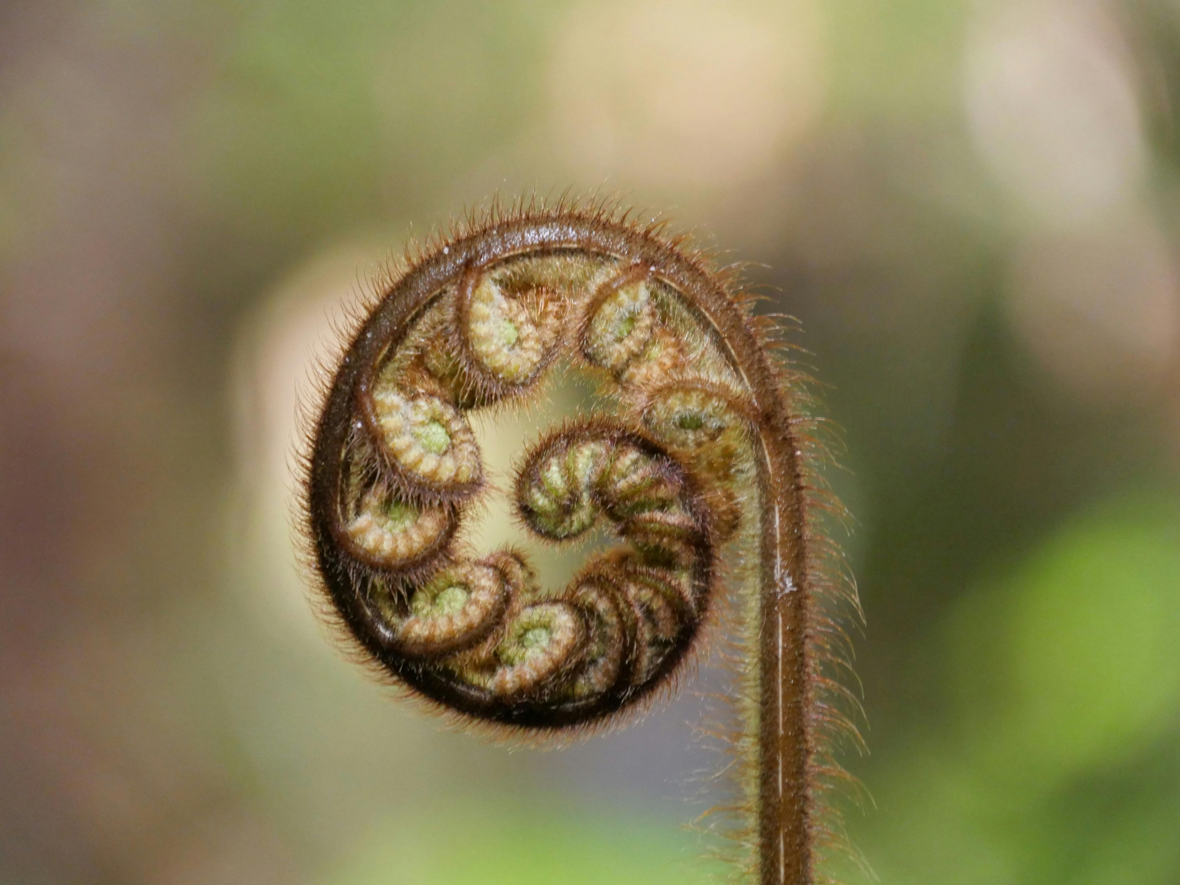 AOTEAROA: THRIVING TOGETHER