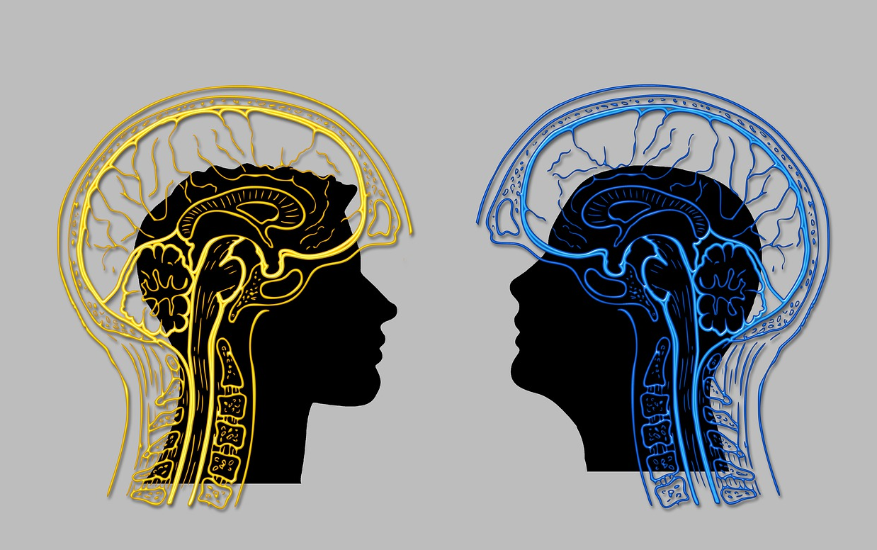 BRAIN DEVELOPMENT - THE LATER YEARS