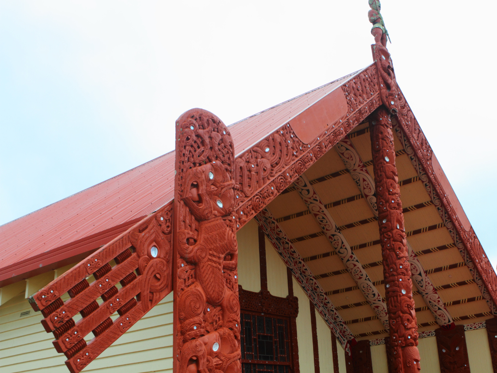 Te Ao Māori and Cultural Confidence