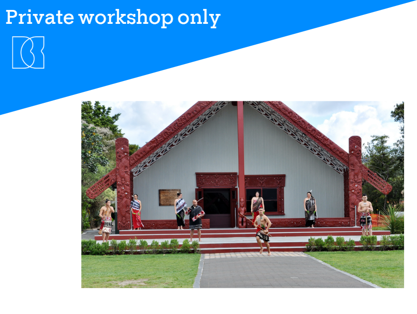 Te Ao Māori and Cultural Confidence