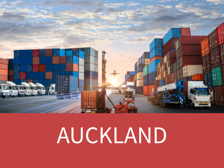 Export 101 - AUCKLAND with German Chamber of Commerce