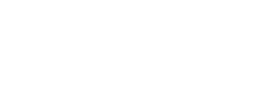 Te Wānanga o Aotearoa Logo
