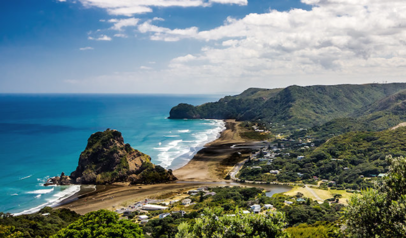 Auckland (West) CPD Session 