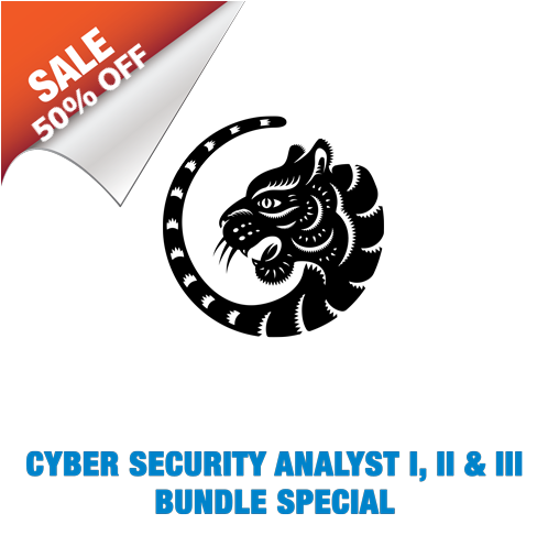 Cyber Security Analyst 3 in 1