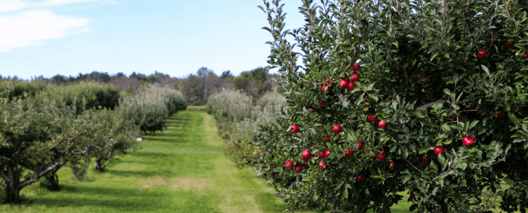 Our customers are compliant, safe and productive agrichemical users!
